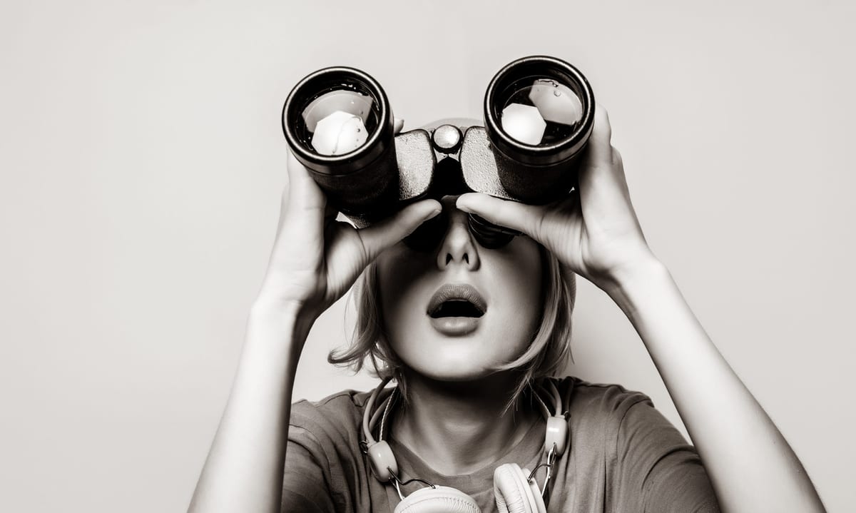 search engine optimisation