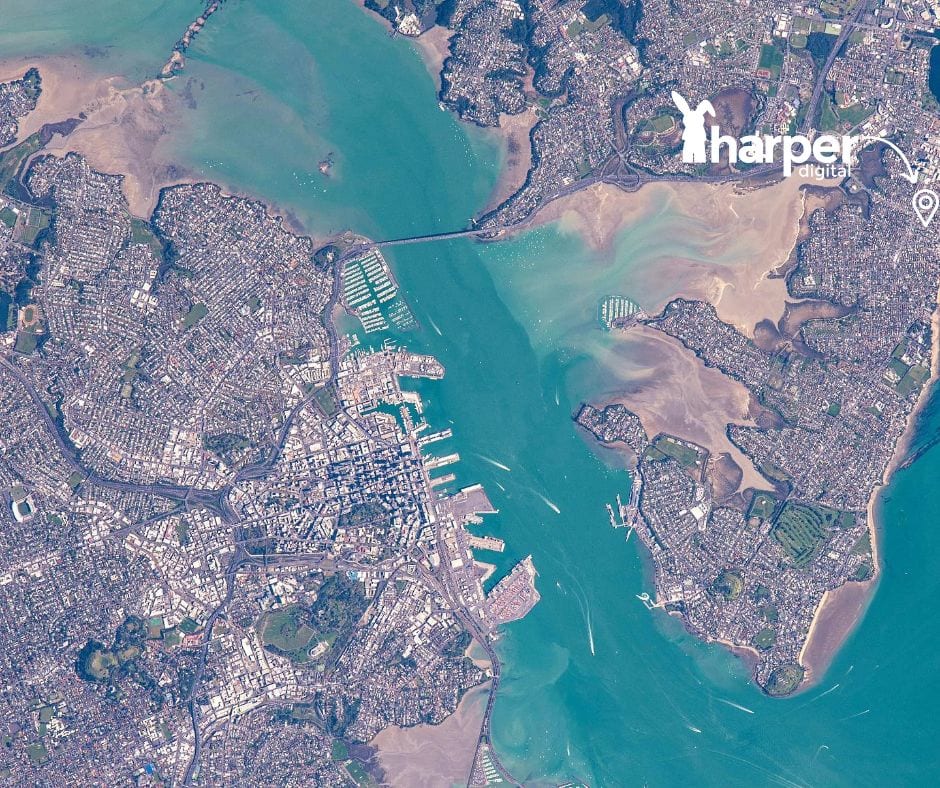 harper digital campaign specialist space